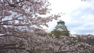 大阪城の花見に屋台はある?西の丸庭園の屋台を画像で紹介