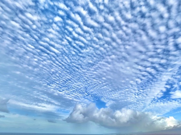 いわし雲の予兆の意味とは？うろこ雲といわし雲の違いについても解説